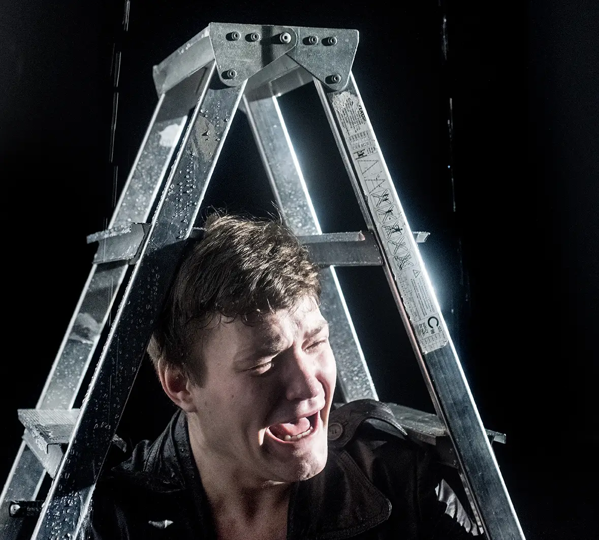 le_journal_dun_fou_photocopie-_d